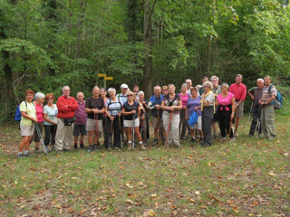 Marche dans la forêt de Vallin en 2015 Marche dans la forêt de Vallin en 2015, entente et amitié, avressieux, vie associative, associations