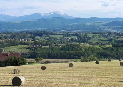 Avressieux - Agriculture